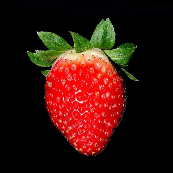 Strawberry Punnet