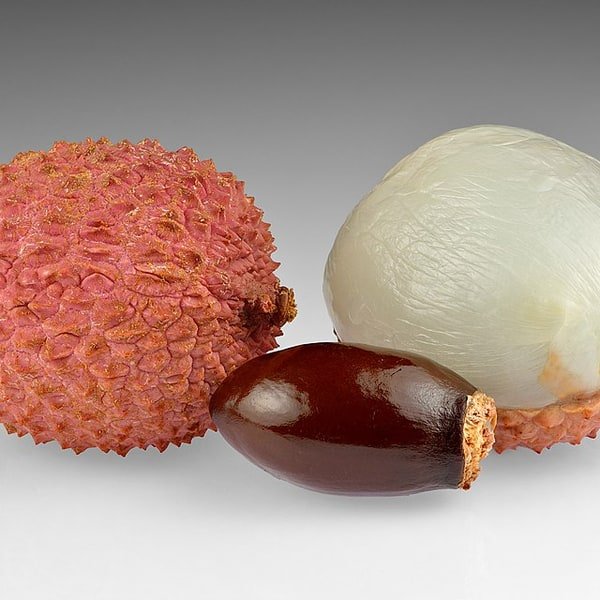 Lychee Bunch