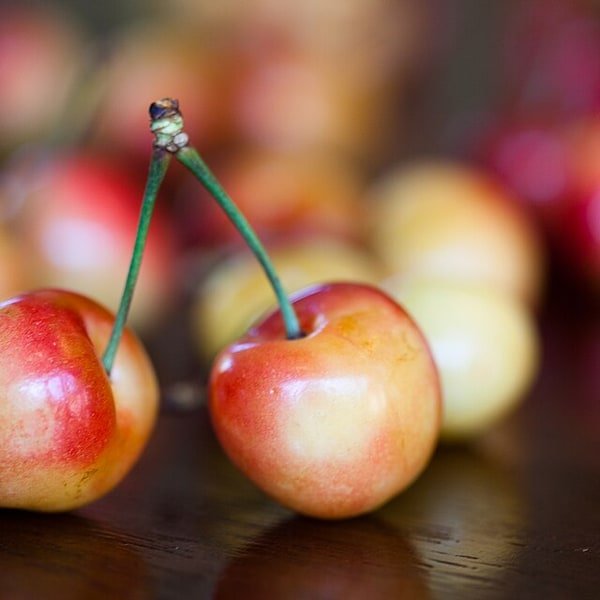 White Cherry
