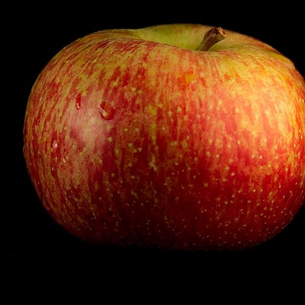Fuji Apple