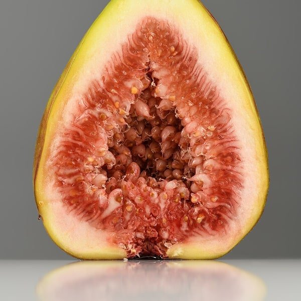 Fig Black Mission