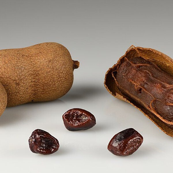 Tamarind Pod